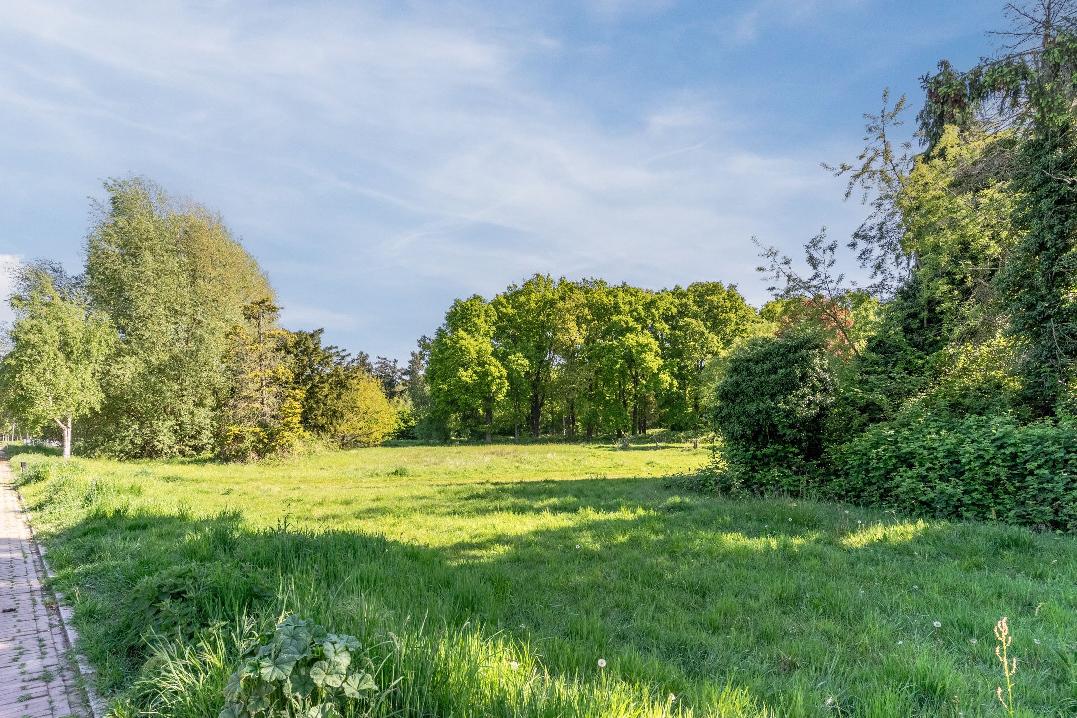 Foto 42 van Graslelie 60