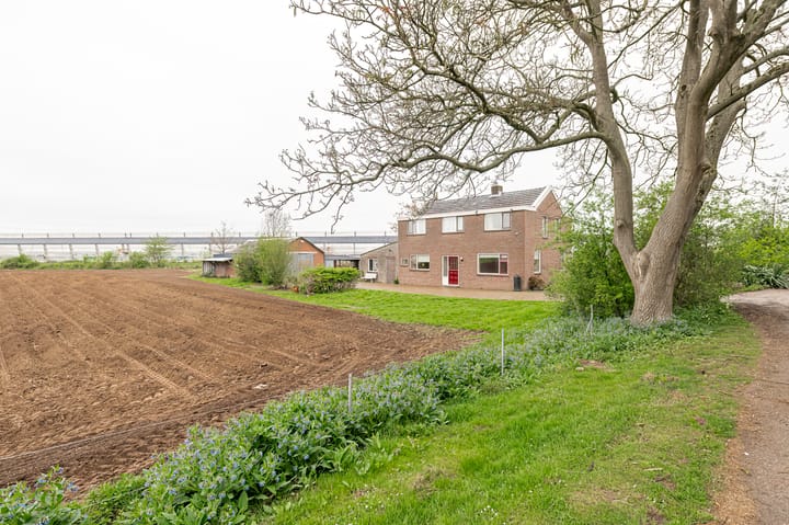 Groenedijk-Zuid 8