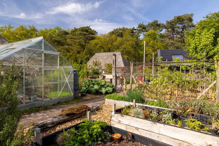 Photo 16 of Kleine Kolonieweg 33