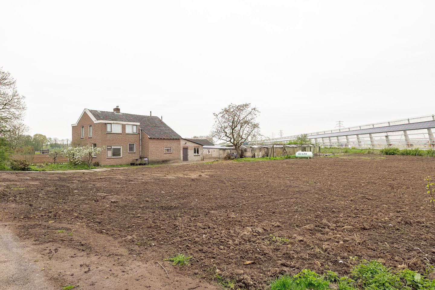 Foto 4 van Groenedijk-Zuid 8