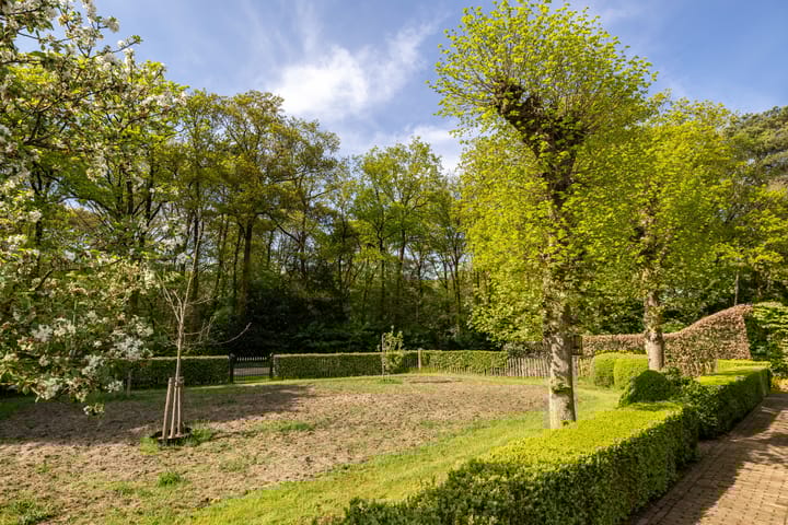 Photo 57 of Kleine Kolonieweg 33