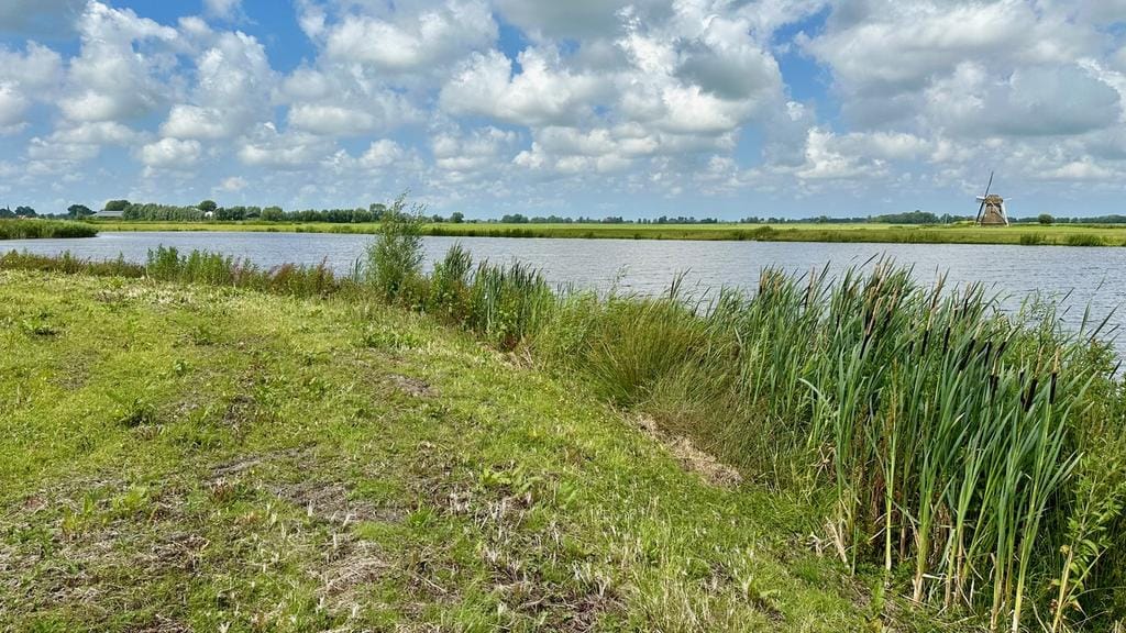 Foto 14 van Wopkje Kooistralan 6