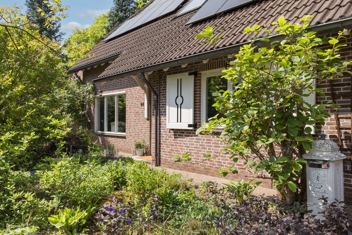 Foto 4 van de Havik 48