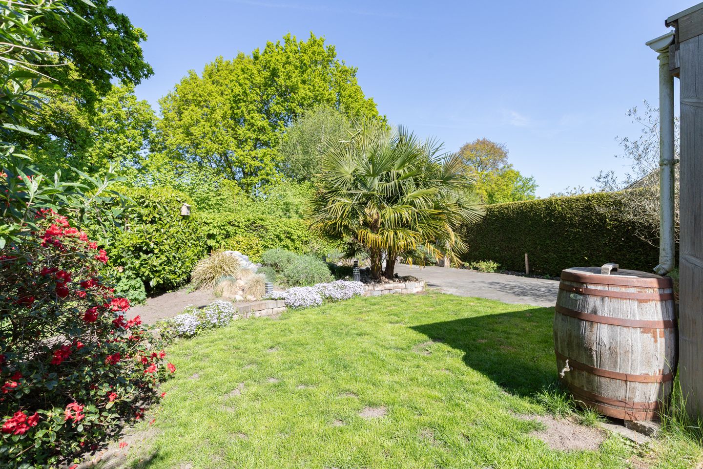 Photo 35 of Scheldestraat 49