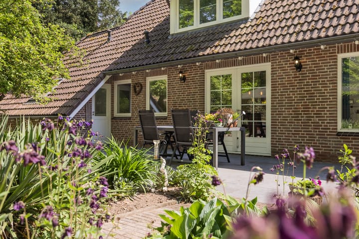 Foto 38 van de Havik 48