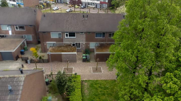 Photo 2 of Ganzepeppel 67