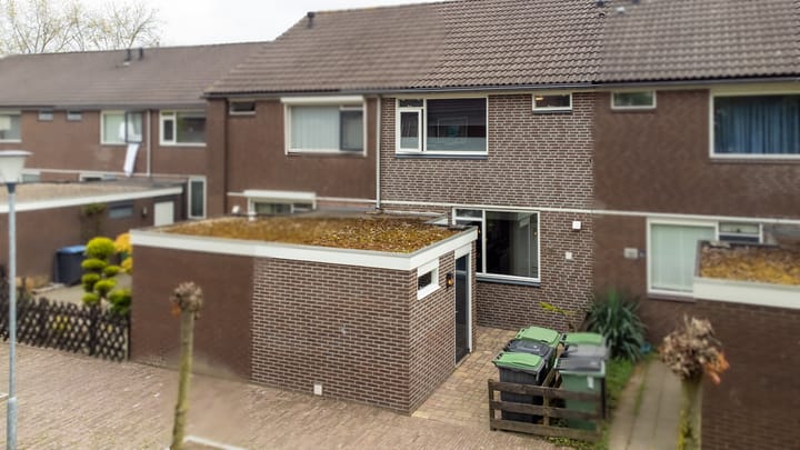 Photo 4 of Ganzepeppel 67