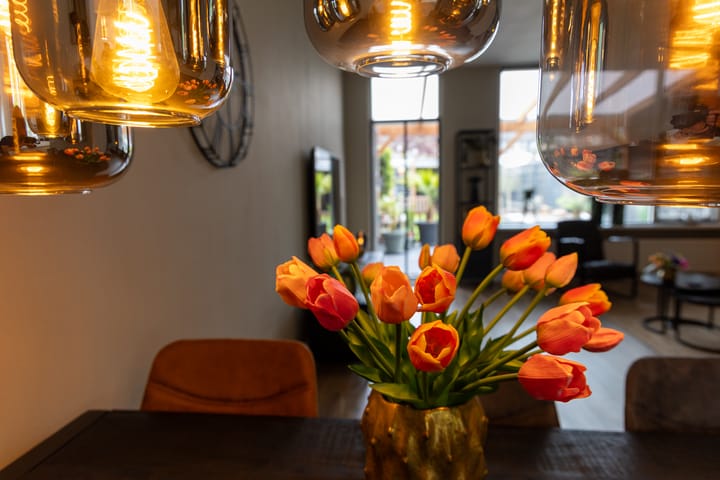 Photo 10 of Ganzepeppel 67