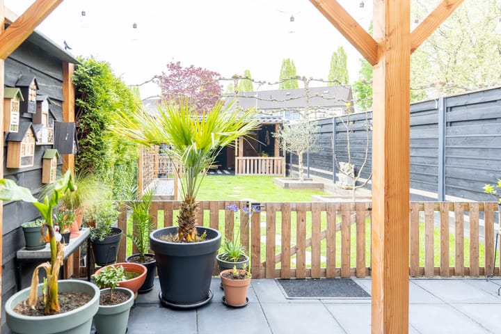 Photo 35 of Ganzepeppel 67