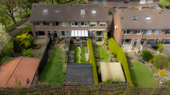 Photo 39 of Ganzepeppel 67