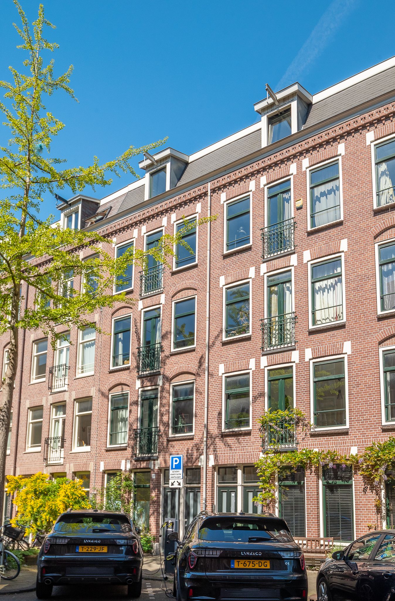 Photo 30 of Borgerstraat 210-1