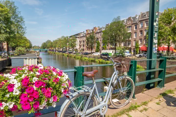 Foto 35 van Borgerstraat 210-1