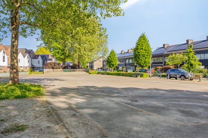 Foto 51 van Biesveld 7