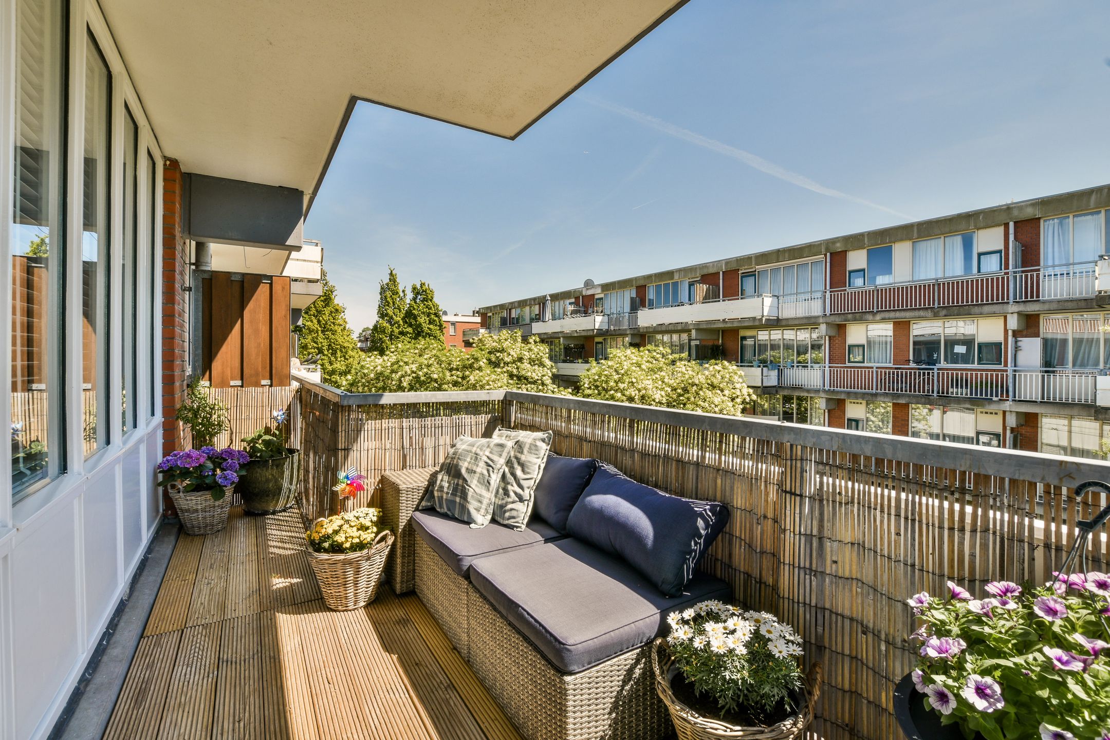 Photo 6 of Havikskruid 33