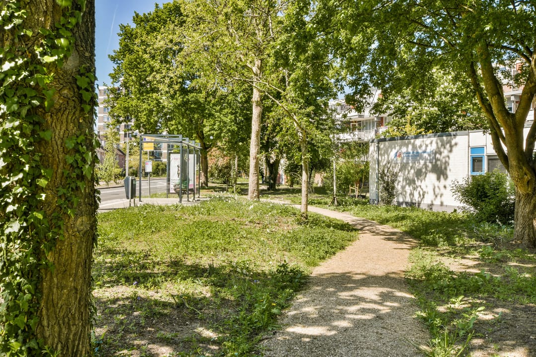 Photo 22 of Havikskruid 33