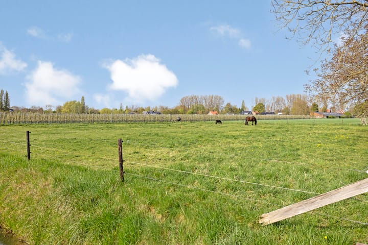 Foto 40 van Hogeweg 9