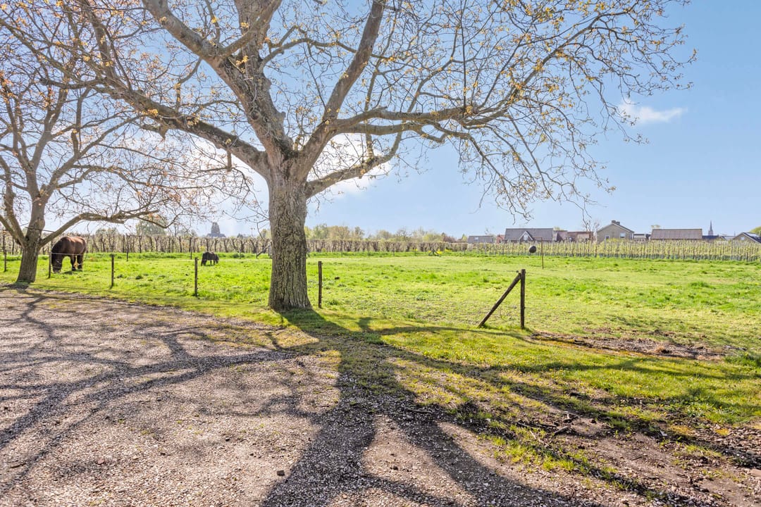Photo 41 of Hogeweg 9