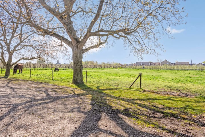 Foto 41 van Hogeweg 9