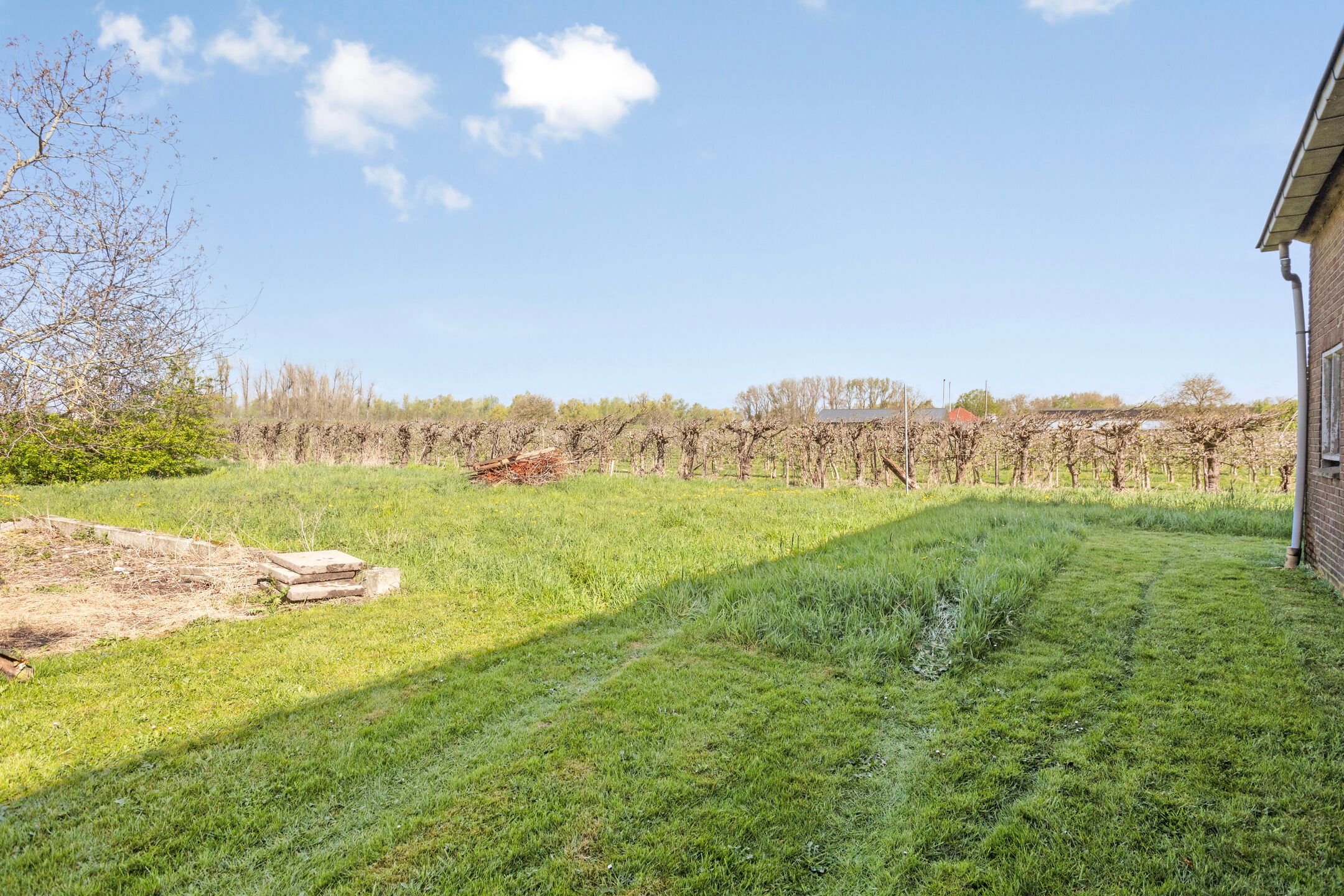 Photo 42 of Hogeweg 9
