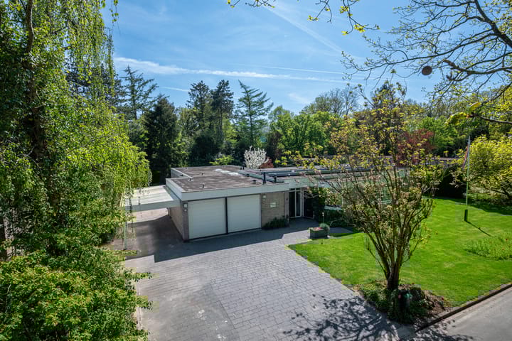 Foto 7 van Steenkamp 5