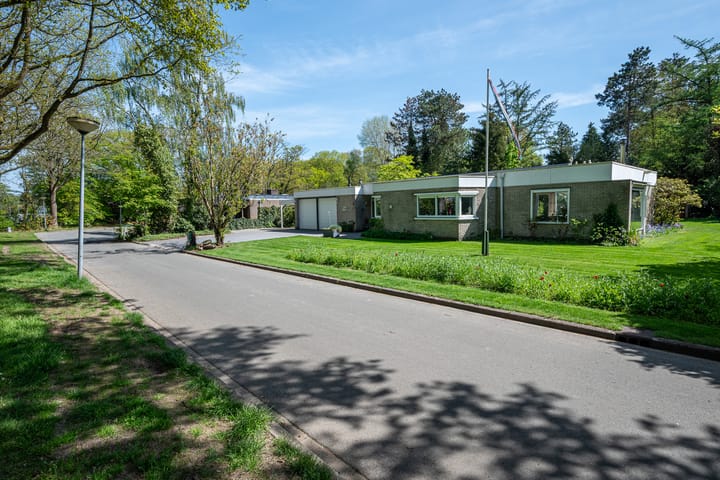 Foto 8 van Steenkamp 5