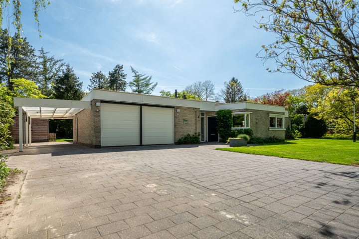 Foto 9 van Steenkamp 5