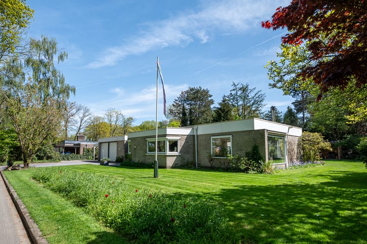 Foto 11 van Steenkamp 5