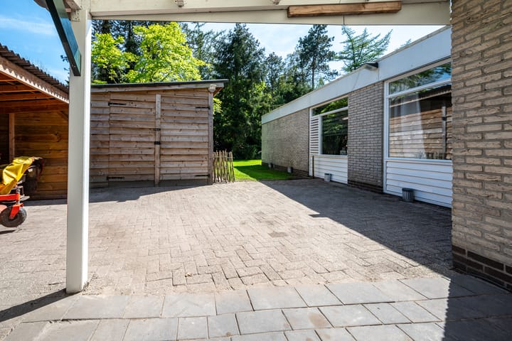 Foto 46 van Steenkamp 5