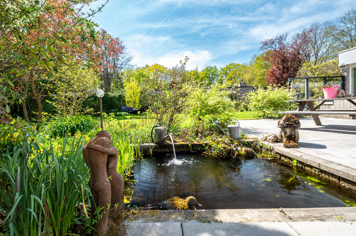 Foto 51 van Steenkamp 5