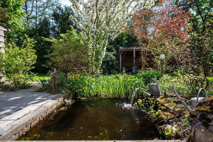 Foto 52 van Steenkamp 5