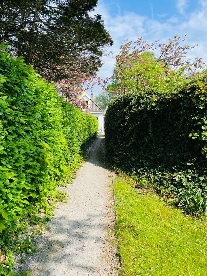 Foto 23 van Voorstreek 11