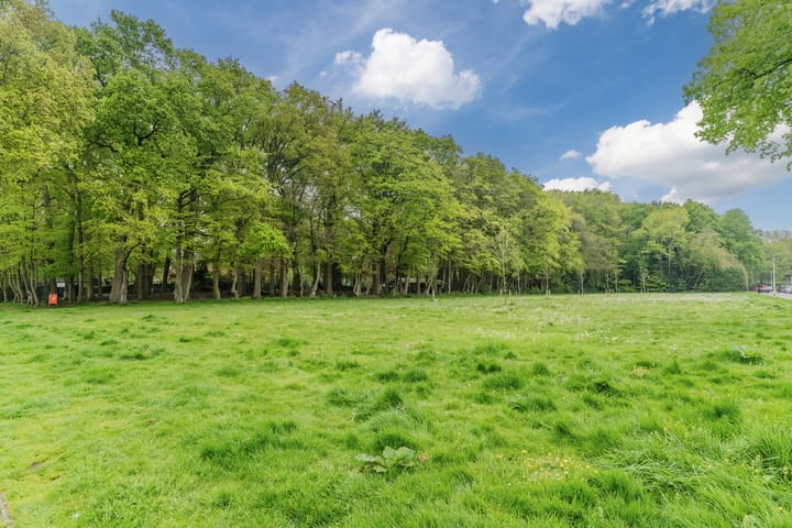 Foto 55 van Bachstraat 22