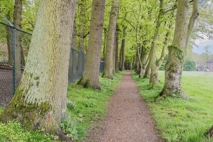 Foto 56 van Bachstraat 22