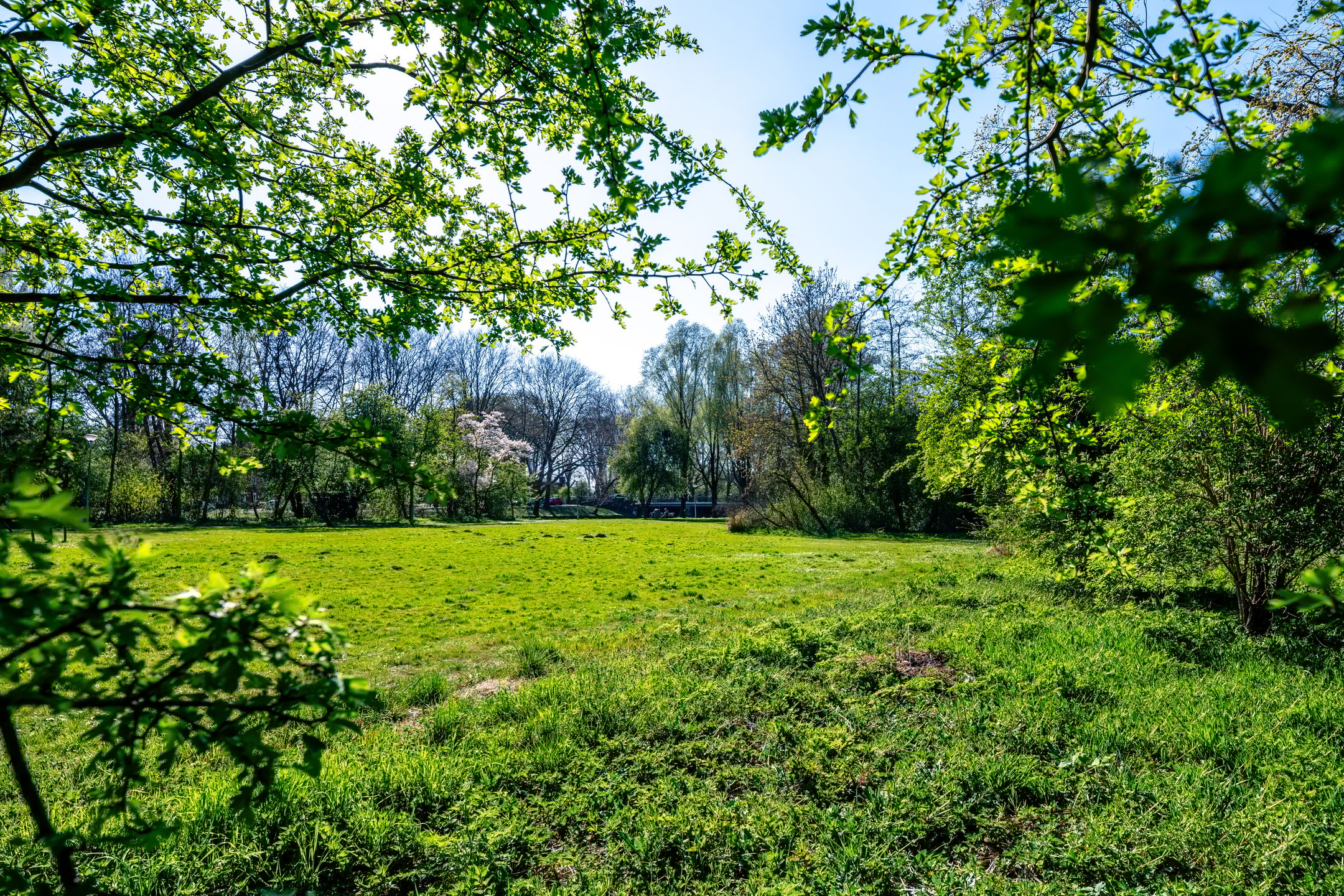 Photo 24 of Freek Oxstraat 17-3