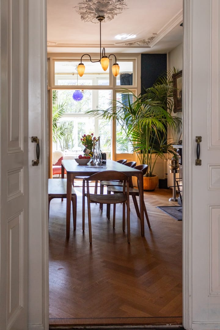 Foto 6 van Van Swietenstraat 128