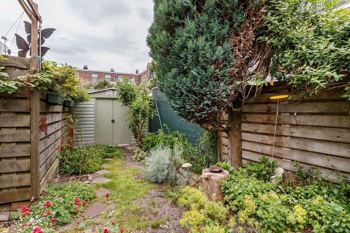 Foto 25 van Douwes Dekkerstraat 62