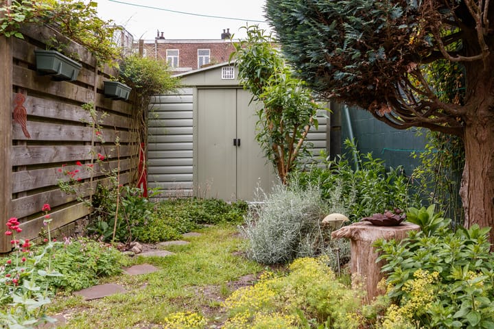 Photo 28 of Douwes Dekkerstraat 62
