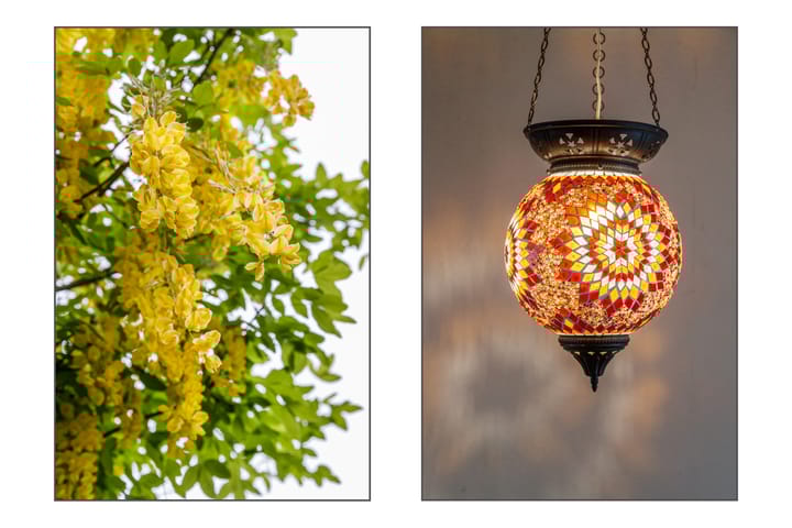 Photo 11 of Douwes Dekkerstraat 62