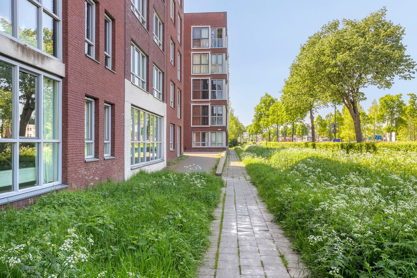 Foto 35 van de Wieken 40