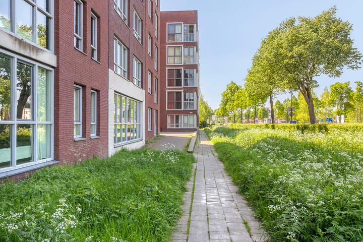 Foto 35 van de Wieken 40