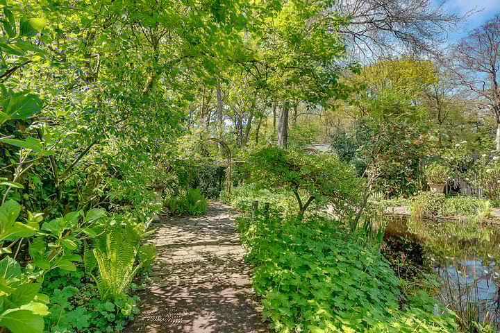 Foto 28 van Ruysdaellaan 67