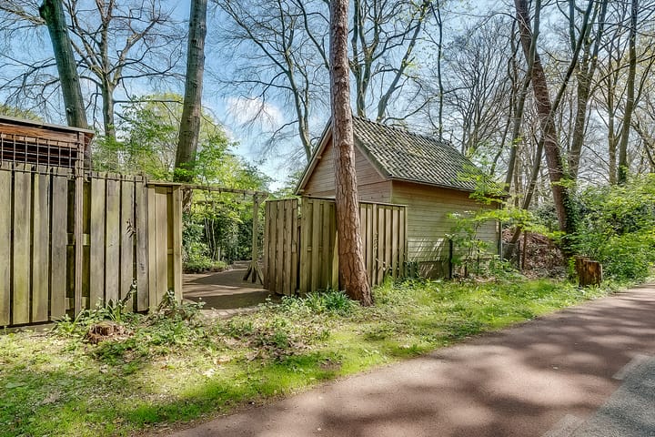 Foto 31 van Ruysdaellaan 67