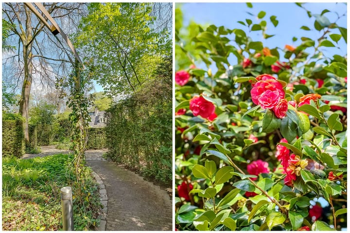 Foto 32 van Ruysdaellaan 67