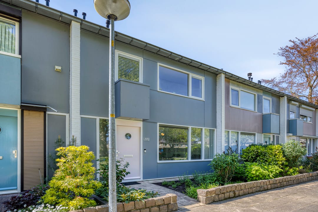 Foto 22 van Heilige Stoel 3820