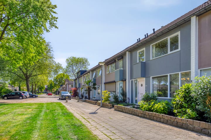 Photo 23 of Heilige Stoel 3820
