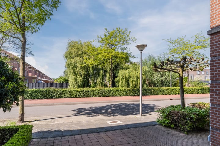 Foto 6 van Don Carlos 7