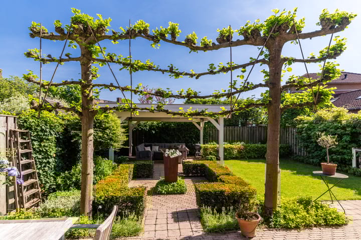 Foto 41 van Don Carlos 7