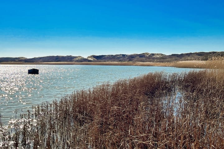 Foto 43 van Driehuizerkerkweg 103-A