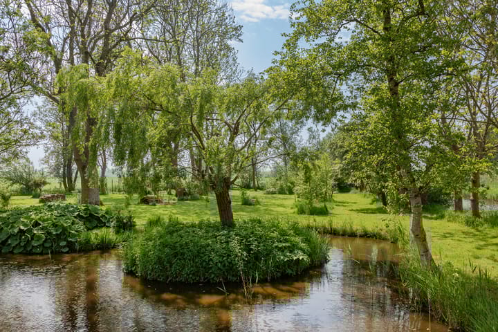 Photo 31 of Meerdijk 1