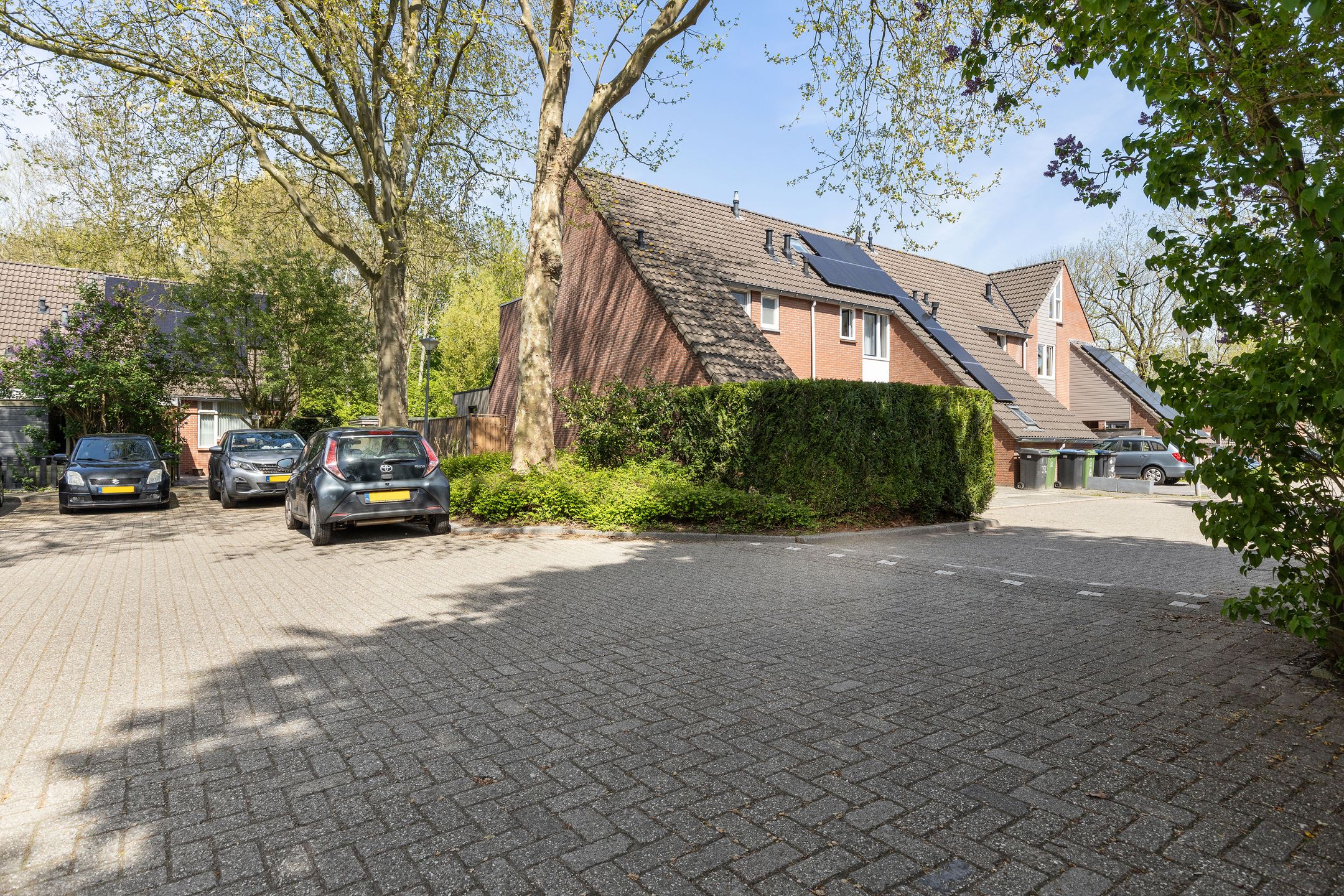 Photo 39 of Bunnemaheerd 110